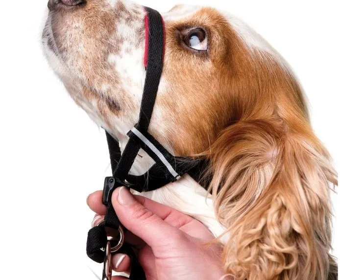 Halti OptiFit snudesele til hund medium nr 3